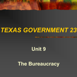 Texas government 2306 exam 1