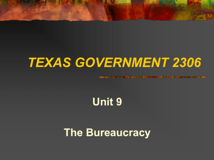 Texas government 2306 exam 1