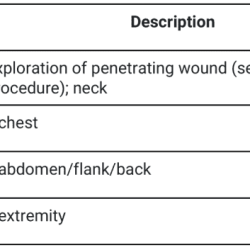 Wound vac cost hospital