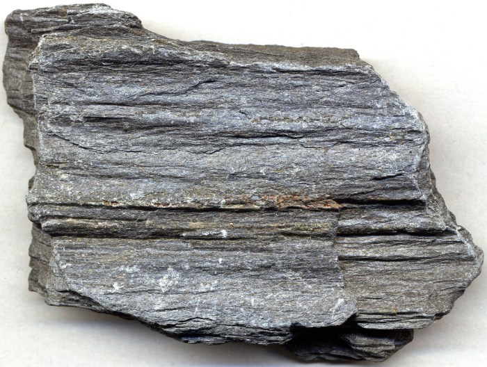 What type of metamorphic feature is shown in this photograph