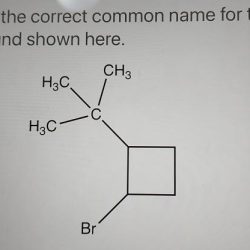 Iupac name compound correct provide sh isopropyl solved organic